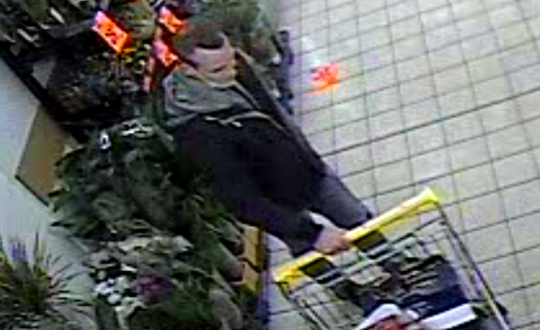 zdjęcie kolorowe: mężczyzna pchający sklepowy wózek, ubrany czarne buty, niebieskie spodnie, granatowa kurtkę z kapturem i szara bluzę dresową z kapturem z maseczka ochronną umieszczona pod brodą, stojący do kamery prawym profilem
