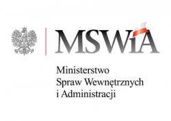 Logo MSW