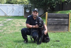 na zdjęciu widać przewodnika psa służbowego wraz z psem rasy owczarek niemiecki maści czarnej