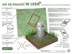 zdjęcie kolorowe: grafika przedstawiająca &quot;jak znaleźć się w lesie&quot; przygotowana przez Lasy Państwowe