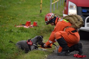 zdjęcie kolorowe: strażak- przewodnik z psem poszukiwawczo – tropiącym