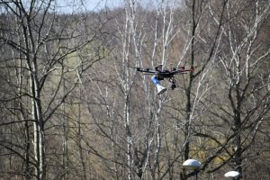 zdjęcie kolorowe: dron nad katowickim parkiem