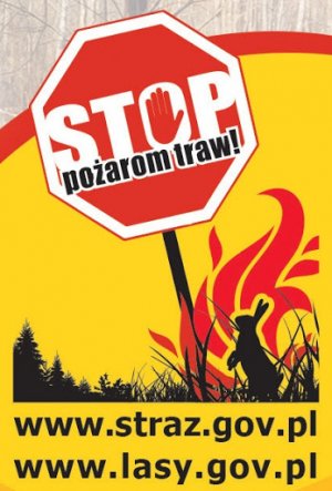 zdjęcie kolorowe: plakat na żółtym tle znak z napisem stop wypalaniu traw promujący kampanię Lasów Państwowych i Państwowej Strazy Pożarnej