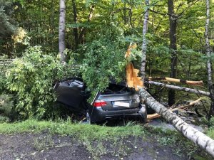 zdjęcie kolorowe: BMW, które uderzyło w drzewo na ul. Beskidzkiej