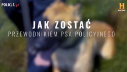 zdjęcie kolorowe: kadr z programu K9 - Jak zostać przewodnikiem psa