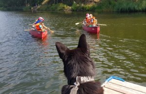Na kolorowym zdjęciu widać policyjnego psa który siedzi na pomoście a w tel widać dzieci na jeziorze płynące kajakami