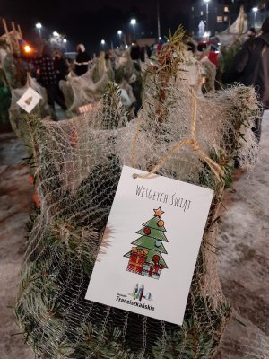 zdjęcie kolorowe: choinka zapakowana w folię do transportu z zawieszoną kartką świąteczną na której jest narysowana choinka z napisem wesołych świąt