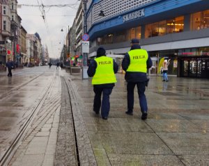 Zdjęcie kolorowe, na którym widać umundurowanych policjantów odwróconych tyłem, idących wzdłuż torowiska tramwajowego.