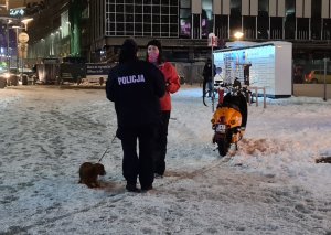 zdjęcie kolorowe: policjantka katowickiej komendy rozmawiając z pieszymi w centrum Katowic