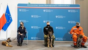 zdjęcie kolorowe: przewodnicy psów służbowych: policjantka, strażnik graniczny i strażak ze swoimi czworonożnymi partnerami na tle banera Ministerstwa spraw Wewnętrznych i Administracji