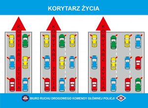zdjęcie kolorowe: grafika przedstawiająca korytarz życia