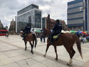 zdjęcie kolorowe: policjanci na koniach służbowych patrolujący centrum Katowic