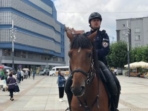 zdjęcie kolorowe: policjant na koniu służbowym patrolujący centrum Katowic