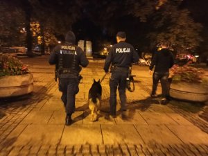 zdjęcie kolorowe: umundurowani policjanci z psami służbowymi w centrum Katowic