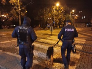 zdjęcie kolorowe: umundurowani policjanci z psami służbowymi przechodzącymi przez przejście dla pieszych w centrum Katowic