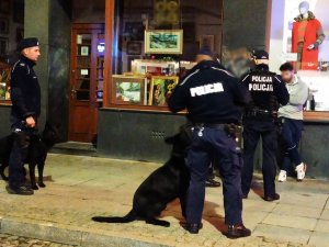 zdjęcie kolorowe: umundurowani policjanci i przewodnicy psów służbowych z psami  legitymujący grupę osób w centrum Katowic