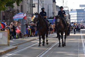 zdjęcie kolorowe: policjanci na koniach na ulicy Warszawskiej w Katowicach