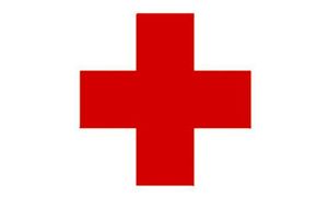 zdjęcie kolorowe: na białym tle czerwony krzyż