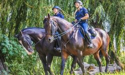 zdjęcie kolorowe: dwie policjantki patrolujące park  na koniach służbowych