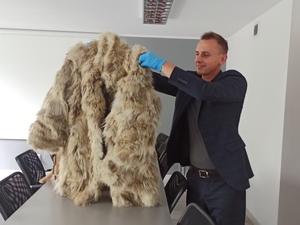 zdjęcie kolorowe: policjant katowickiej komendy trzymający futro z wilka kanadyjskiego