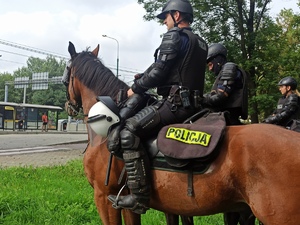 zdjęcie kolorowe: policjanci na koniach oczekujący na przyjazd kibiców