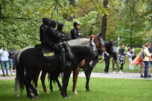 zdjęcie kolorowe: czterech policyjnych jeźdźców na koniach służbowych w parku