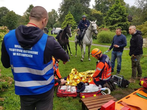 zdjęcie kolorowe: policjant na koniu, załoga pogotowia ratunkowego i obserwator podczas wykonywania zadania w ramach XIX Mistrzostw Polski w Ratownictwie Medycznym