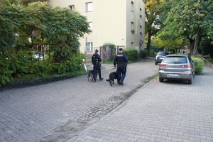 Zdjęcie kolorowe przedstawia umundurowanych przewodników psów służbowych w tracie patrolu.
