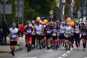zdjęci kolorowe: grupa zawodnikow półmaratonu na trasie biegu