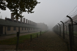 zdjęcie kolorowe: płot obozu Muzeum Auschwitz-Birkenau w Oświęcimiu.