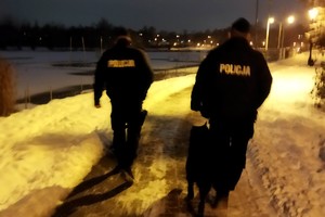 Zdjęcie kolorowe przedstawia dzielnicowego wraz z przewodnikiem psa służbowego i policyjnym psem podczas patrolowania.