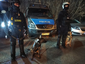 zdjęcie kolorowe: policyjni przewodnicy psów służbowych przed radiowozami przy stadionie GKS-u Katowice
