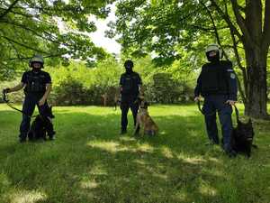 zdjęcie kolorowe: policjanci psami służbowymi zabezpieczający Derby Śląska