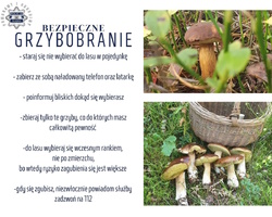 Kolorowy plakat ze zdjęciami grzybów oraz radami dla grzybiarzy.