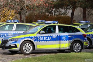 zdjęcie kolorowe: policyjne radiowozy