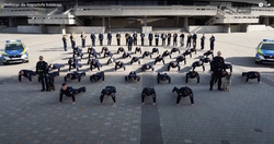 zdjęcie kolorowe: grupa policjantów robiący pompki