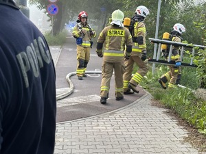 zdjęcie kolorowe przedstawiające Straż Pożarną podczas akcji gaśniczej płonącego pustostanu