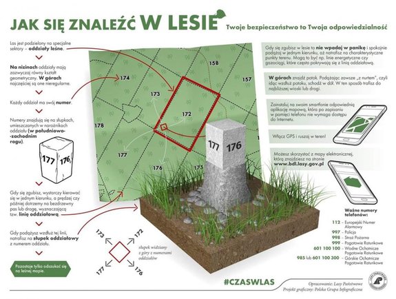 zdjęcie kolorowe: grafika stworzona przez Lasy Państwowe ukazuje jak znaleźć się w lesie.