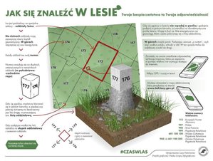 zdjęcie kolorowe: grafika stworzona przez Lasy Państwowe ukazuje jak znaleźć się w lesie.