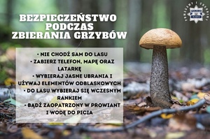 zdjęcie kolorowe: plakat przedstawiający grzyba w lesie i porady dotyczące bezpieczeństwa