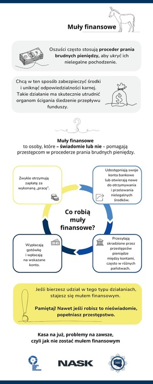 zdjęcie kolorowe: infografika dotycząca mułów finansowych