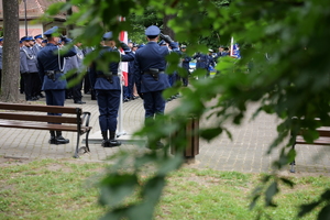 Na zdjęciu liście drzew i policjanci