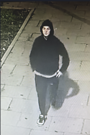 Na zdjęciu wizerunek podejrzewanego