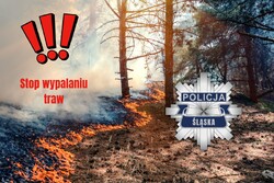 paląca się trawa, wykrzykniki i policyjna gwiazda