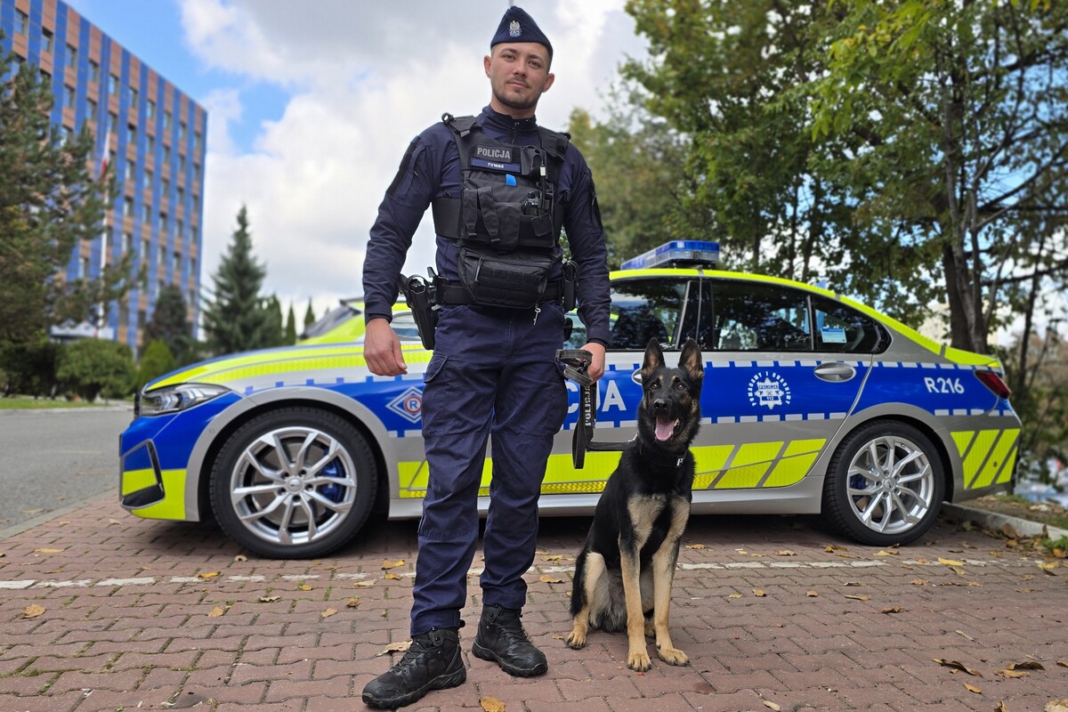 Nowy pies służbowy w katowickiej Policji